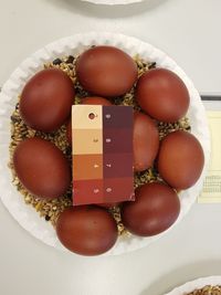 Schalenfarbenbewertung der Marans-Eier